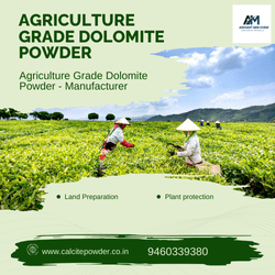 Dolomite Powder for Agriculture